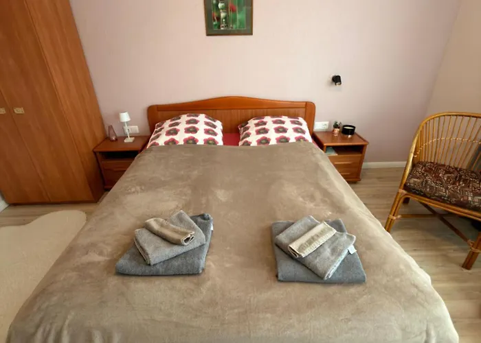 公寓 Villa Apartments *