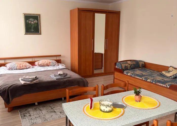 Villa Apartments 公寓 帕兰加